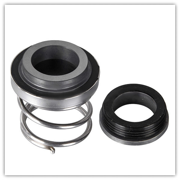 APV 290 Mechanical Seals